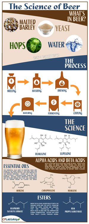 Science of Beer Infographic Science of Beer Infographic